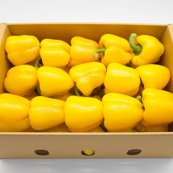 [프레시팜] 노랑 파프리카 특품 3kg 내외