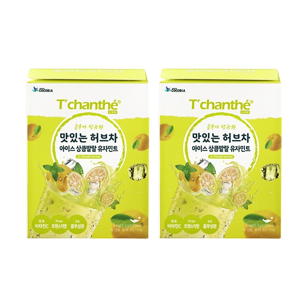 티샹떼 54 맛있는 허브차 아이스 상큼발랄 유자민트 삼각망 20티백 2개세트